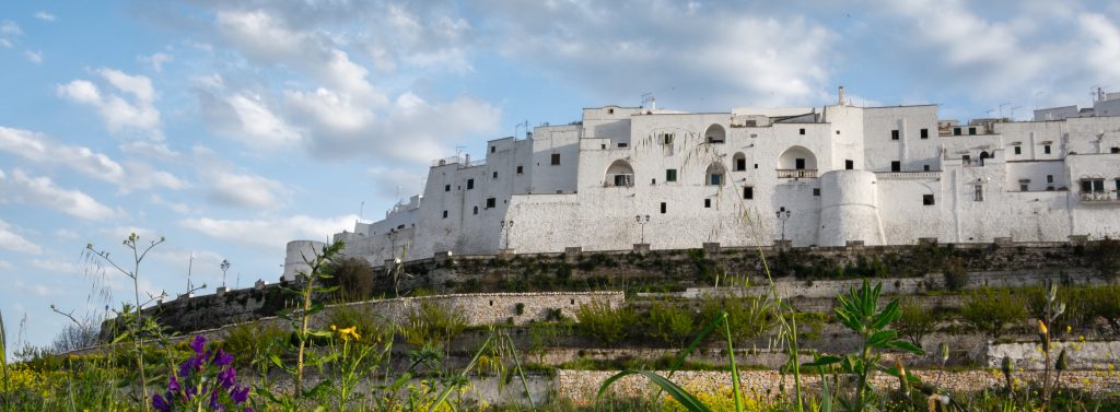 Ostuni and Olive Oil Experience